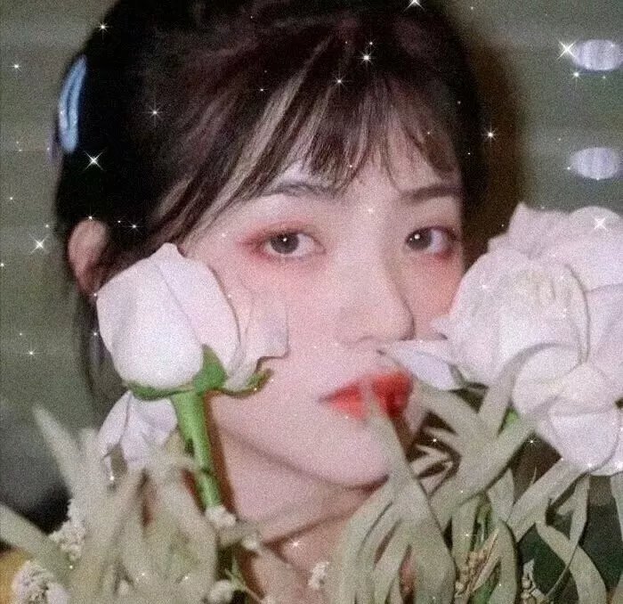 今生情未了
